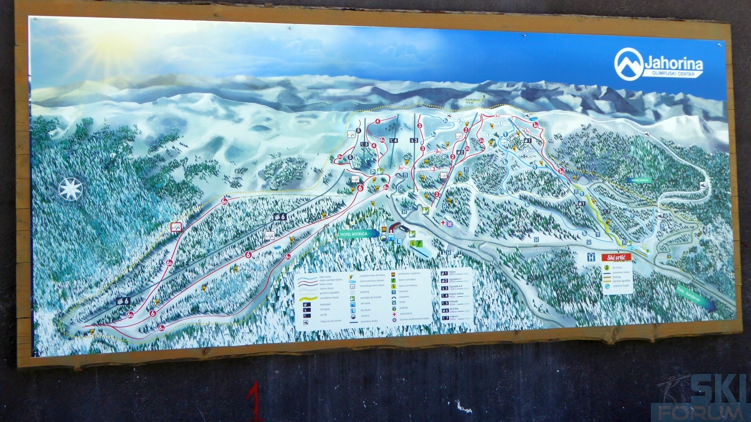 215450-p1190392.jpg