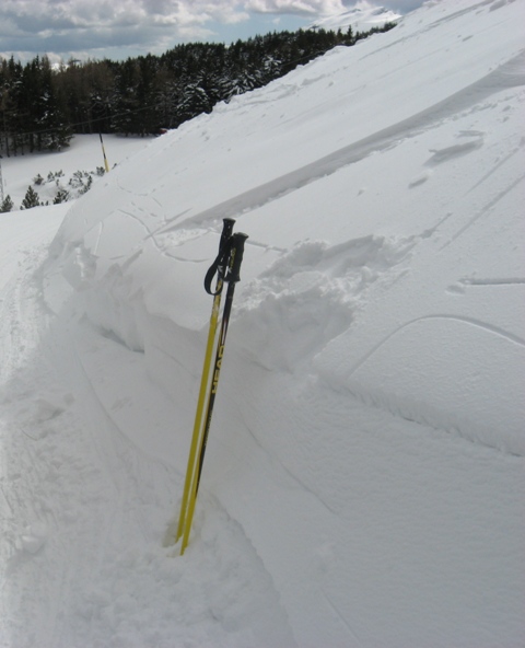 21593-neve.jpg