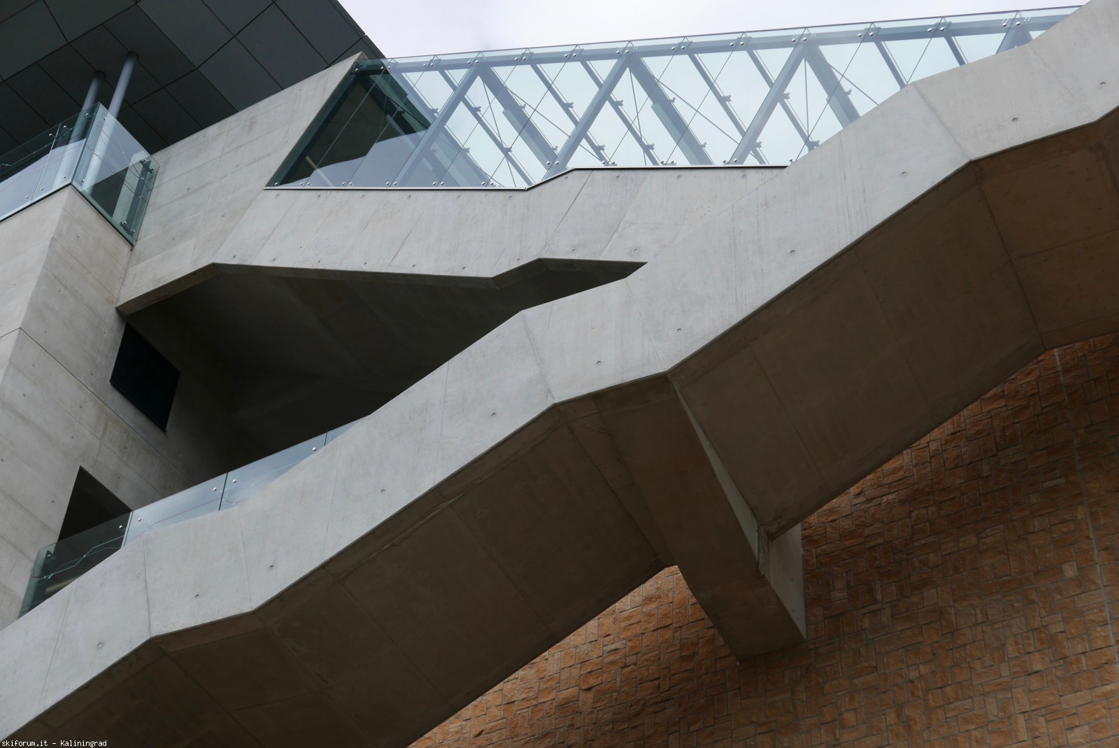 217188-l1010345-1.jpg