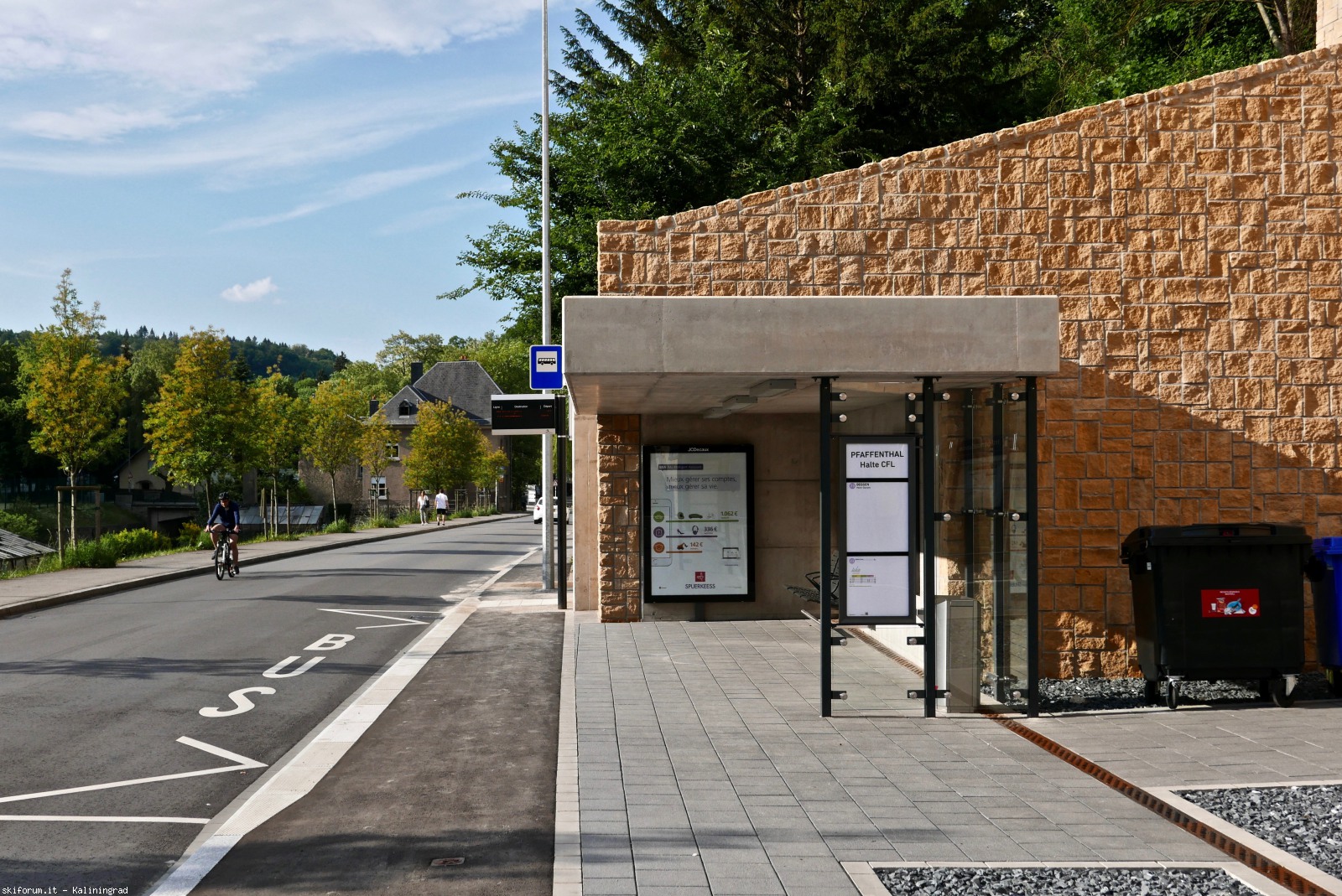 217193-l1010391-1.jpg
