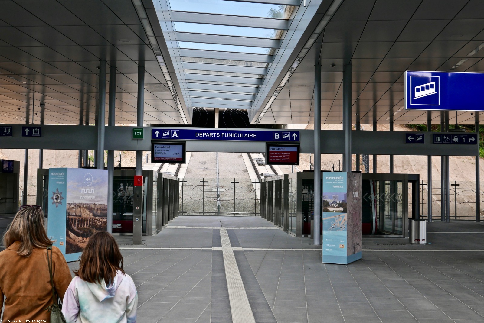 217201-l1010349-1.jpg