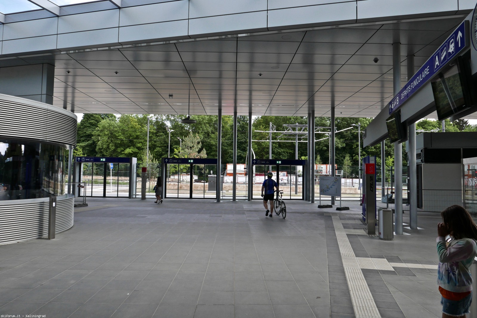 217210-l1010358-1.jpg