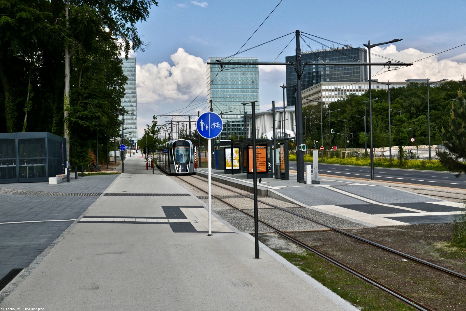 217217-l1010365-1.jpg