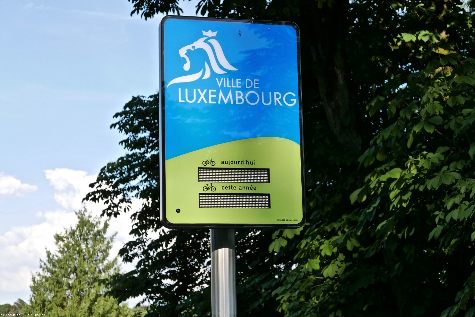 217237-l1010405-1.jpg