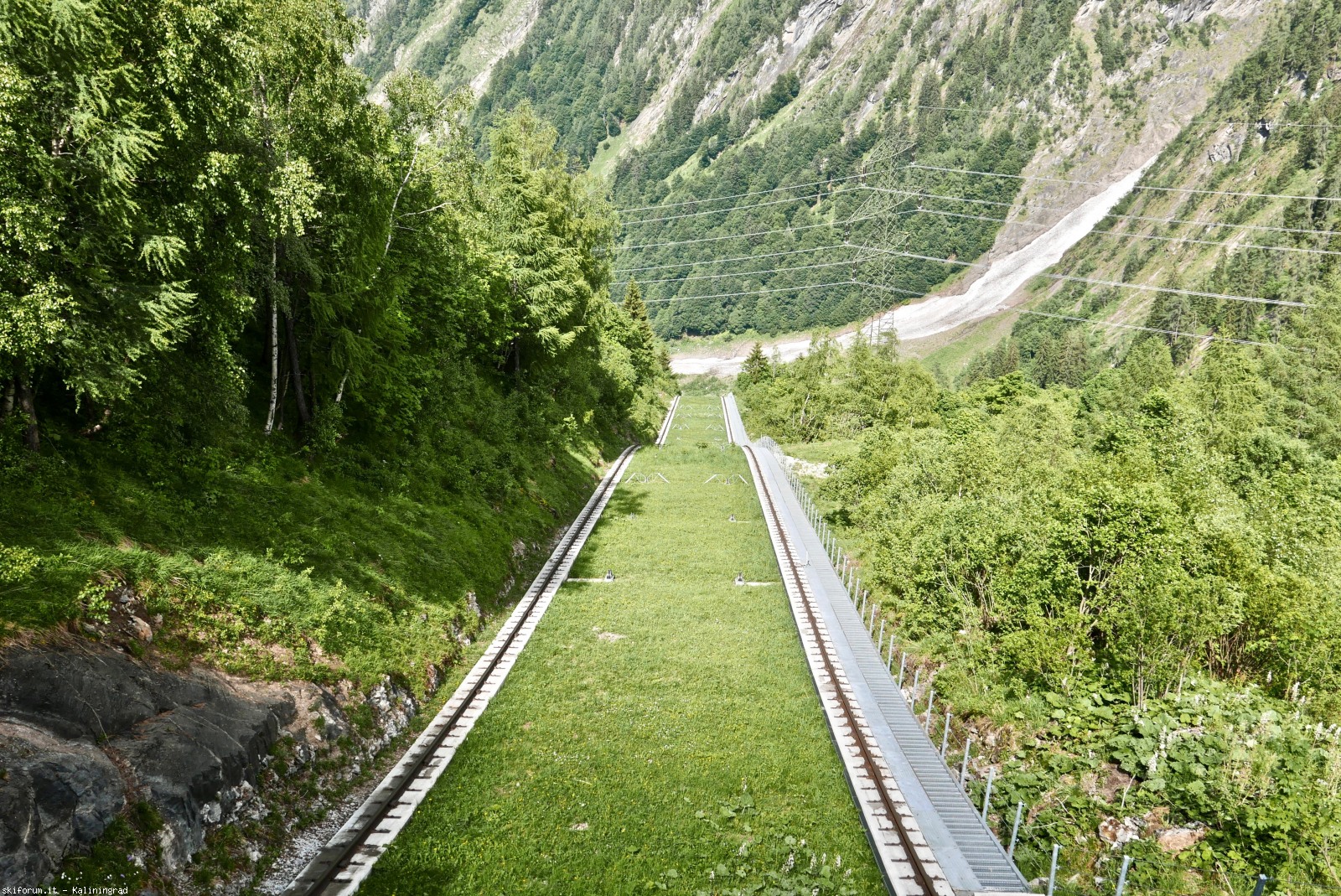 217470-l1010493.jpg