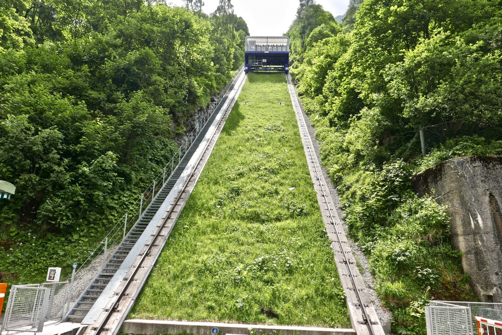 217496-l1010469.jpg