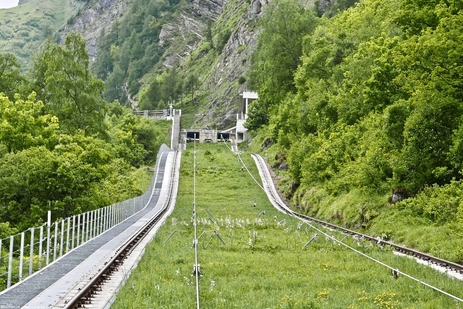 217499-l1010482.jpg