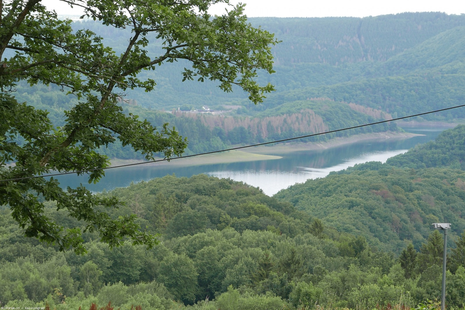 217709-l1000501.jpg