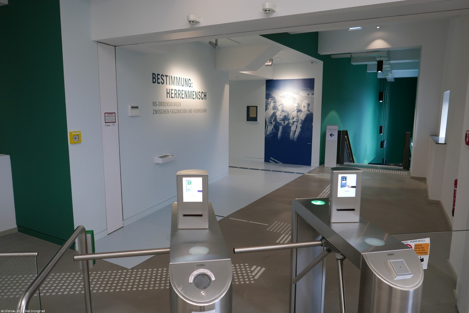 217728-l1000536.jpg