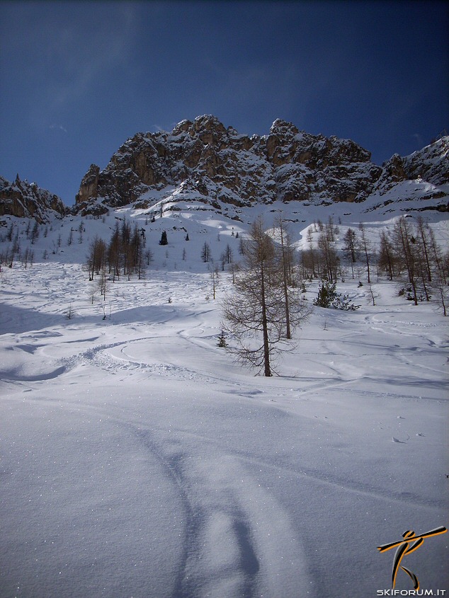 21931-arabba-freeride-boschi-europa.jpg