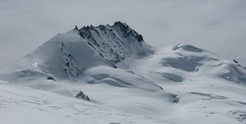 24033-rimpishfihorn.jpg