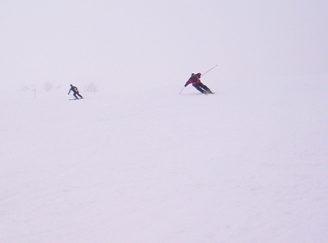 24494-skifo-3.jpg