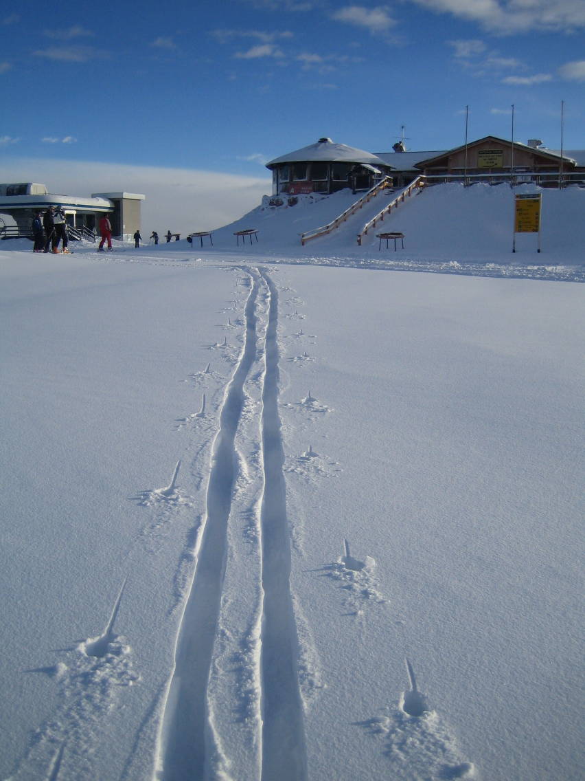 24542-almeno-un-accenno-di-traccia.jpg