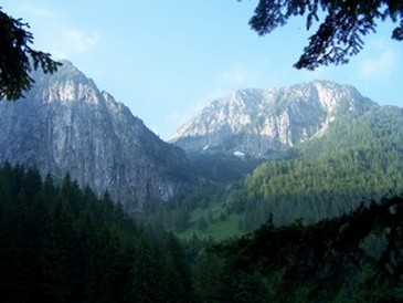 24680-1006723.jpg