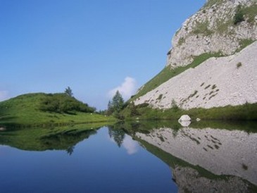 24683-1006753.jpg