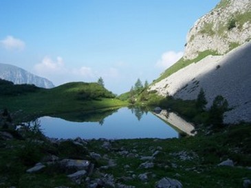 24684-1006754.jpg