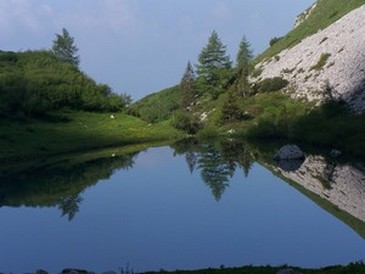 24685-1006755.jpg