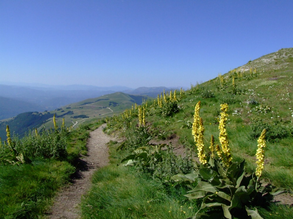 24984-dscf4582.jpg