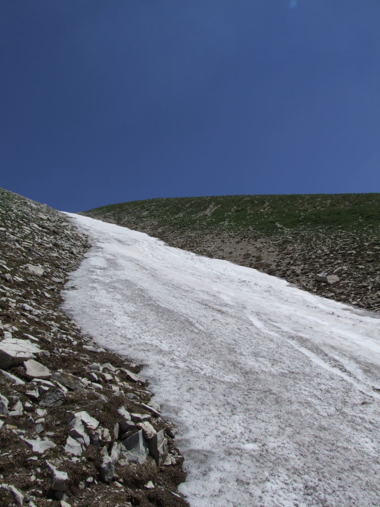 25011-dscf4633.jpg