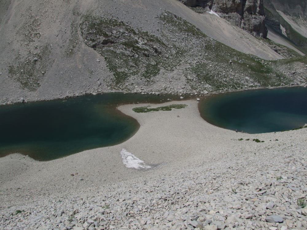 25030-dscf4654.jpg
