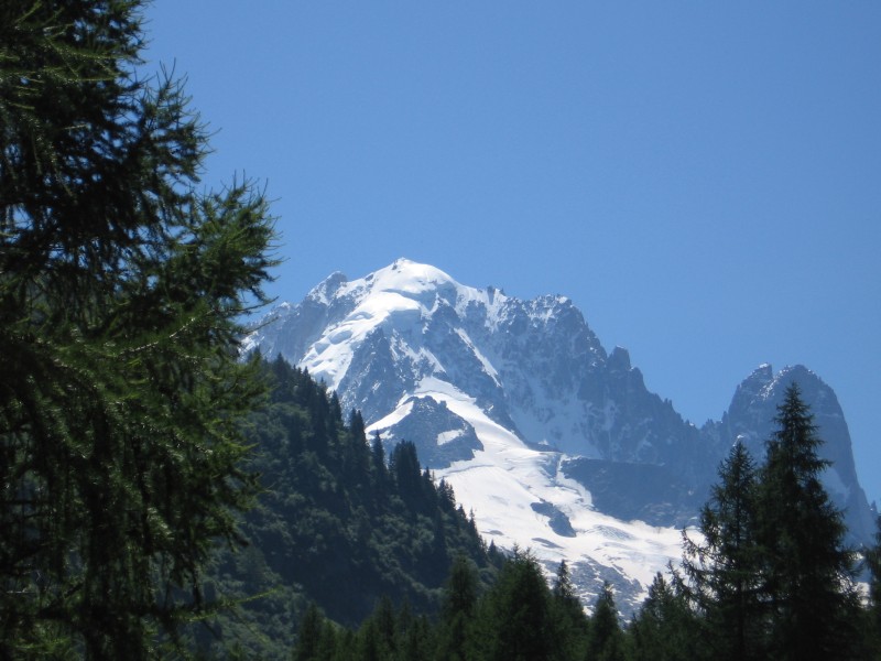 25538-a1-verte-daest.jpg