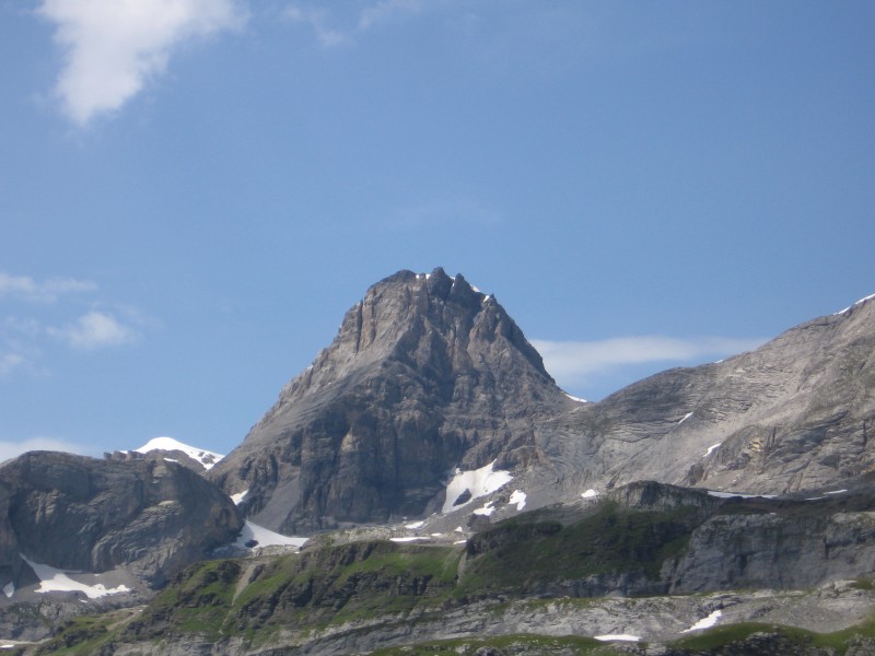 25545-a1-leuk-gross.jpg