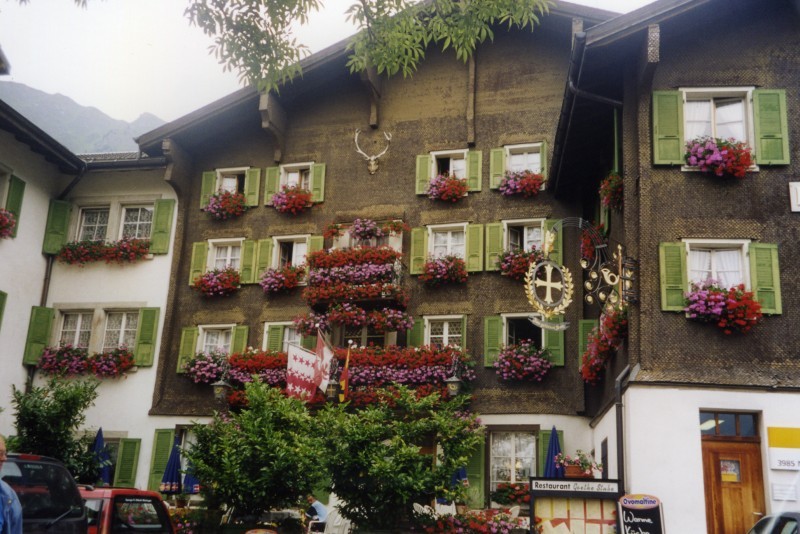 25546-goms.jpg
