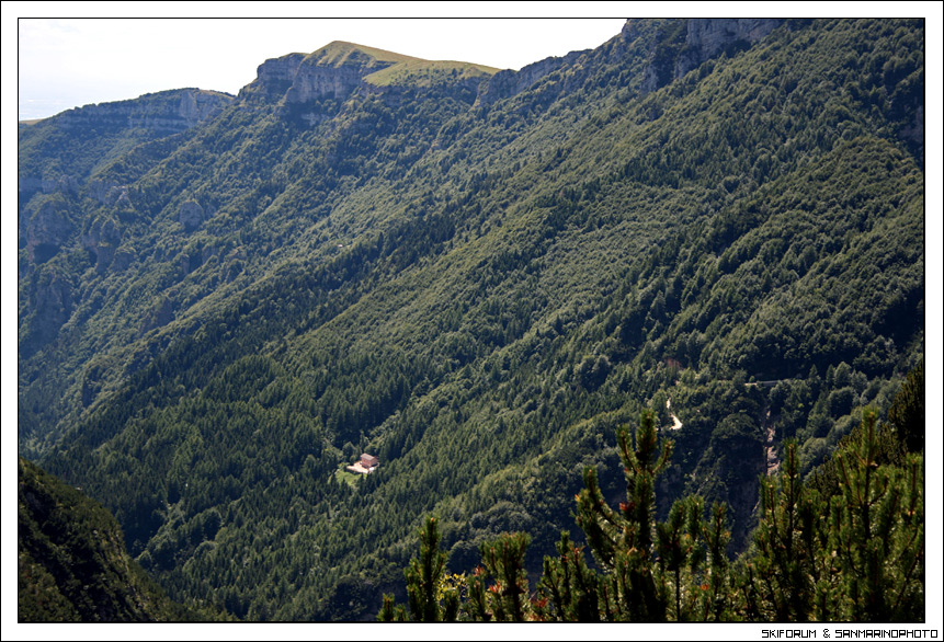 25930-rifugio-revolto-foresta-gia.jpg