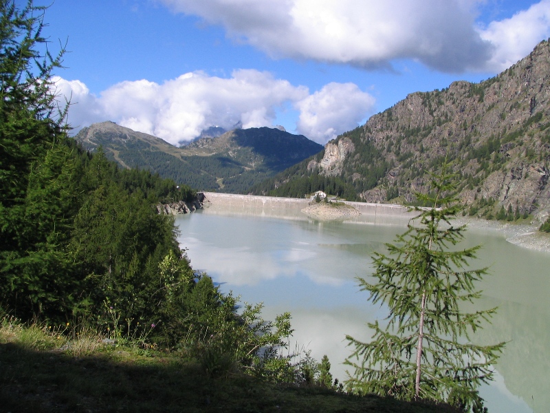 26003-copia-di-immagine-010.jpg