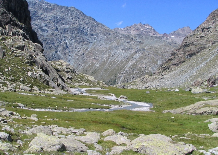 26054-copia-di-immagine-262.jpg