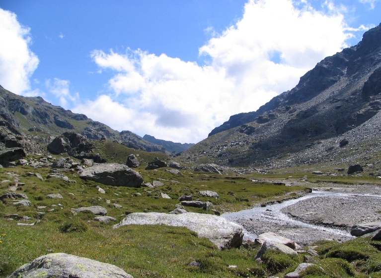 26055-copia-di-immagine-264.jpg