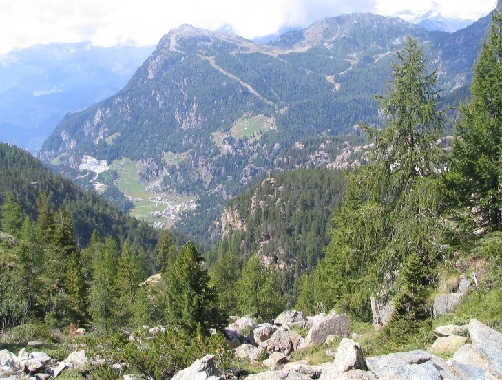 26091-copia-di-immagine-397.jpg