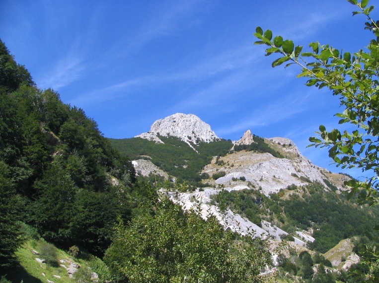 26290-copia-di-immagine-024.jpg