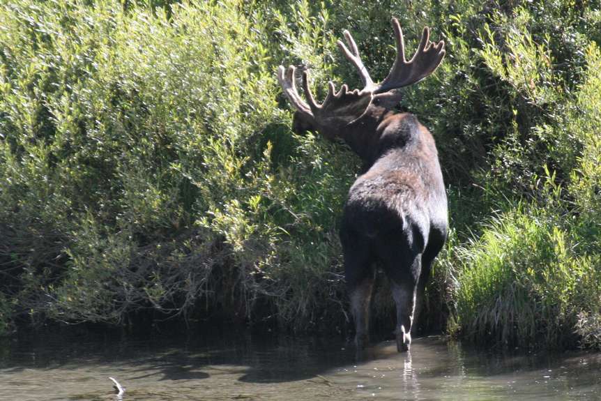 26652-grandteton5.jpg