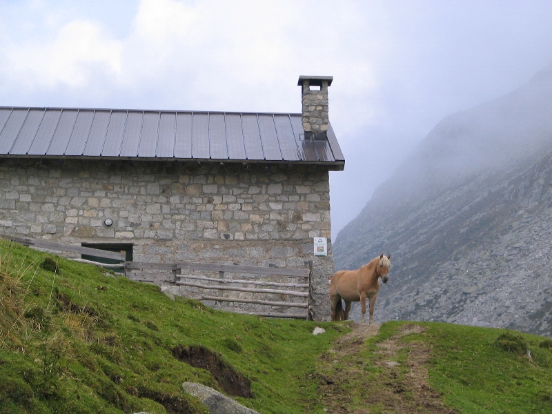 27171-copia-di-immagine-028.jpg