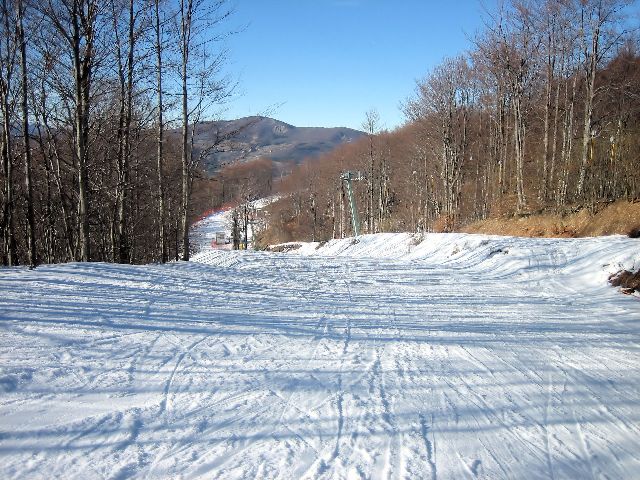 27508-img1236.jpg