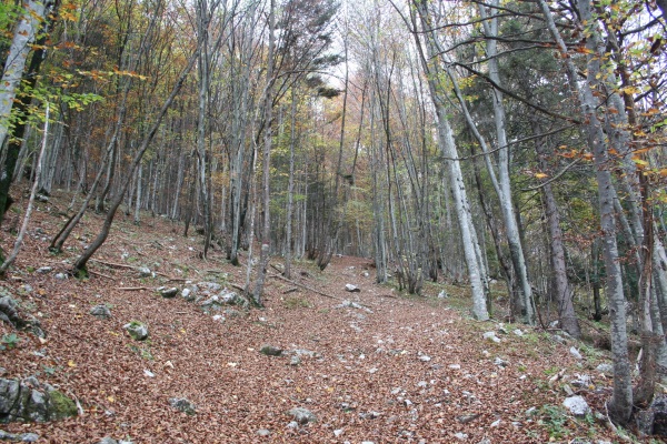 27791-img3471.jpg