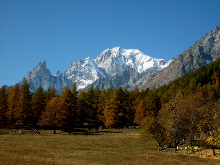 27808-skiforum-val-ferret-1.jpg