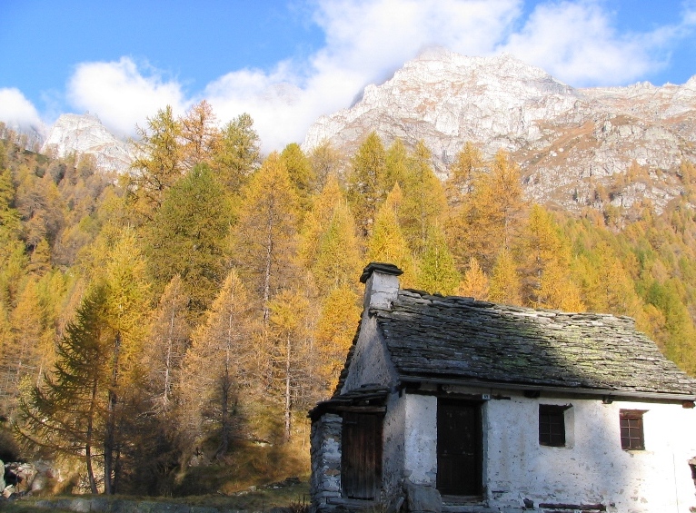 27867-copia-di-immagine-020.jpg