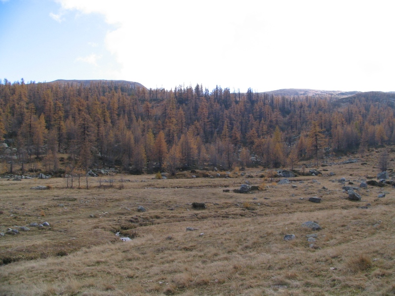 27883-copia-di-immagine-104.jpg