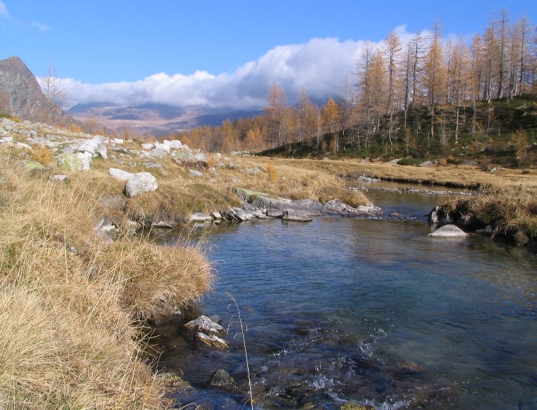 27884-copia-di-immagine-114.jpg
