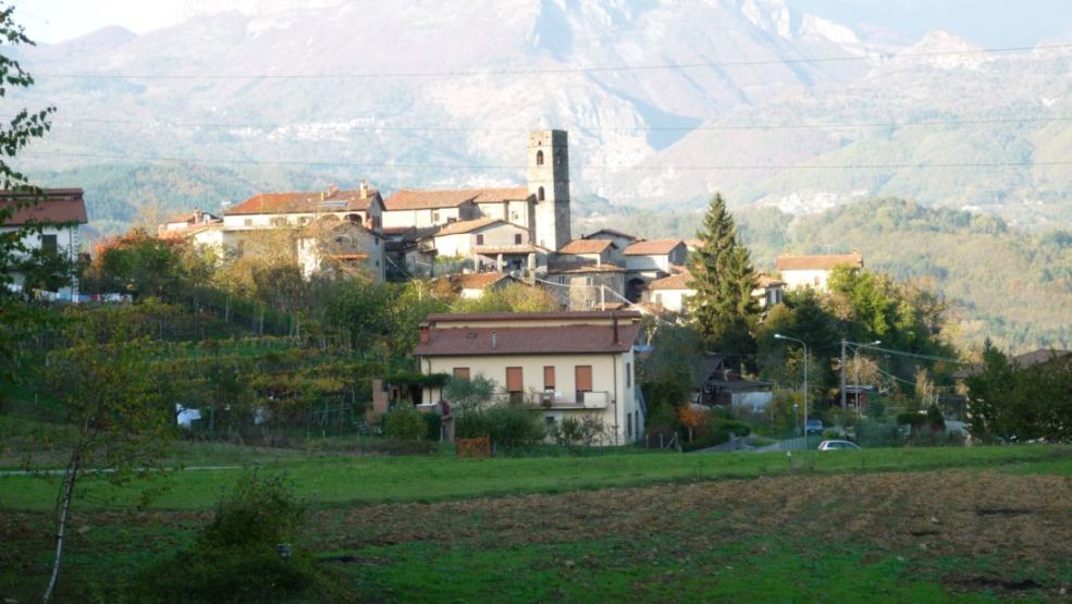 28117-p1000073.jpg