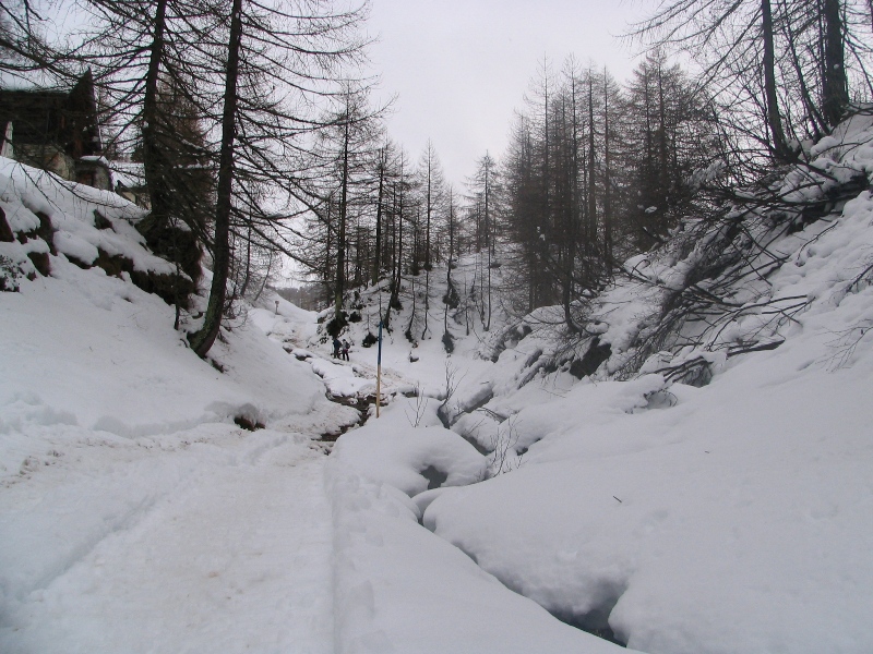 28676-copia-di-immagine-046.jpg