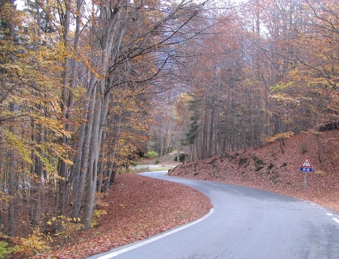 28681-copia-di-immagine-080.jpg