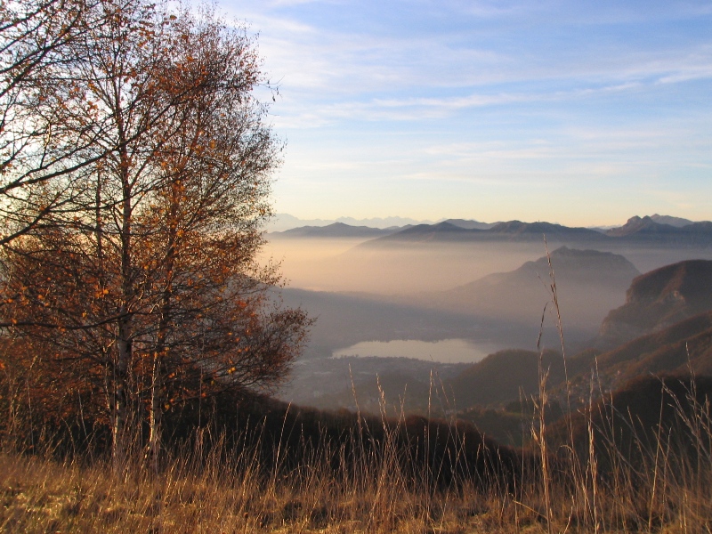 28946-copia-di-immagine-111.jpg