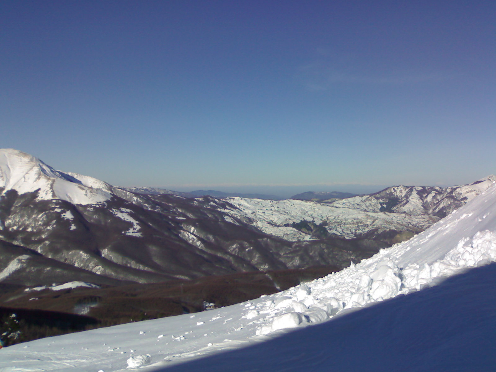 29985-08122008159.jpg