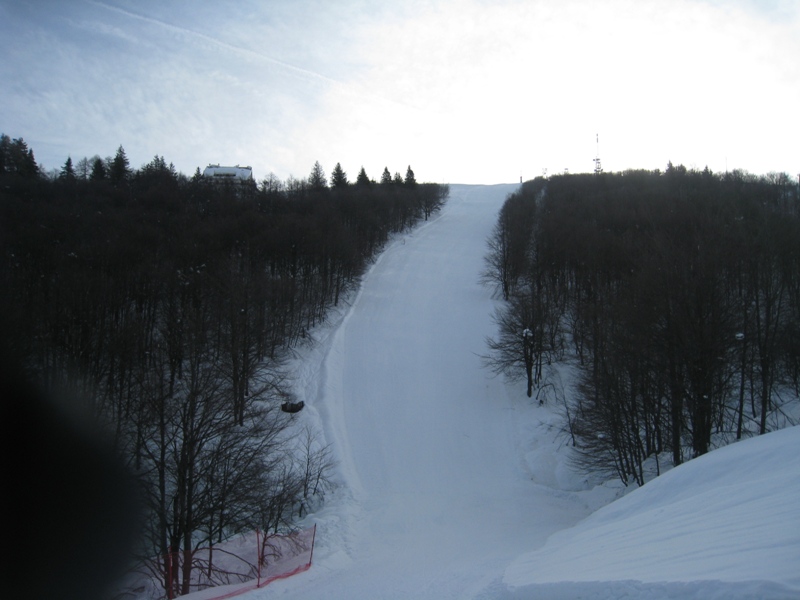 30811-img1394.jpg