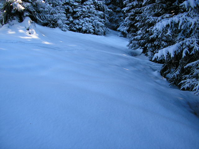 31024-immagine-327.jpg