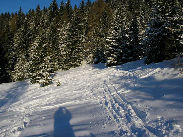31025-immagine-328.jpg