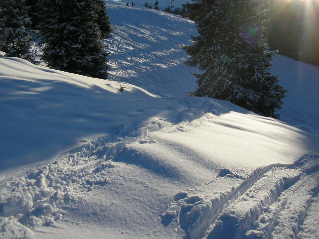 31026-immagine-329.jpg